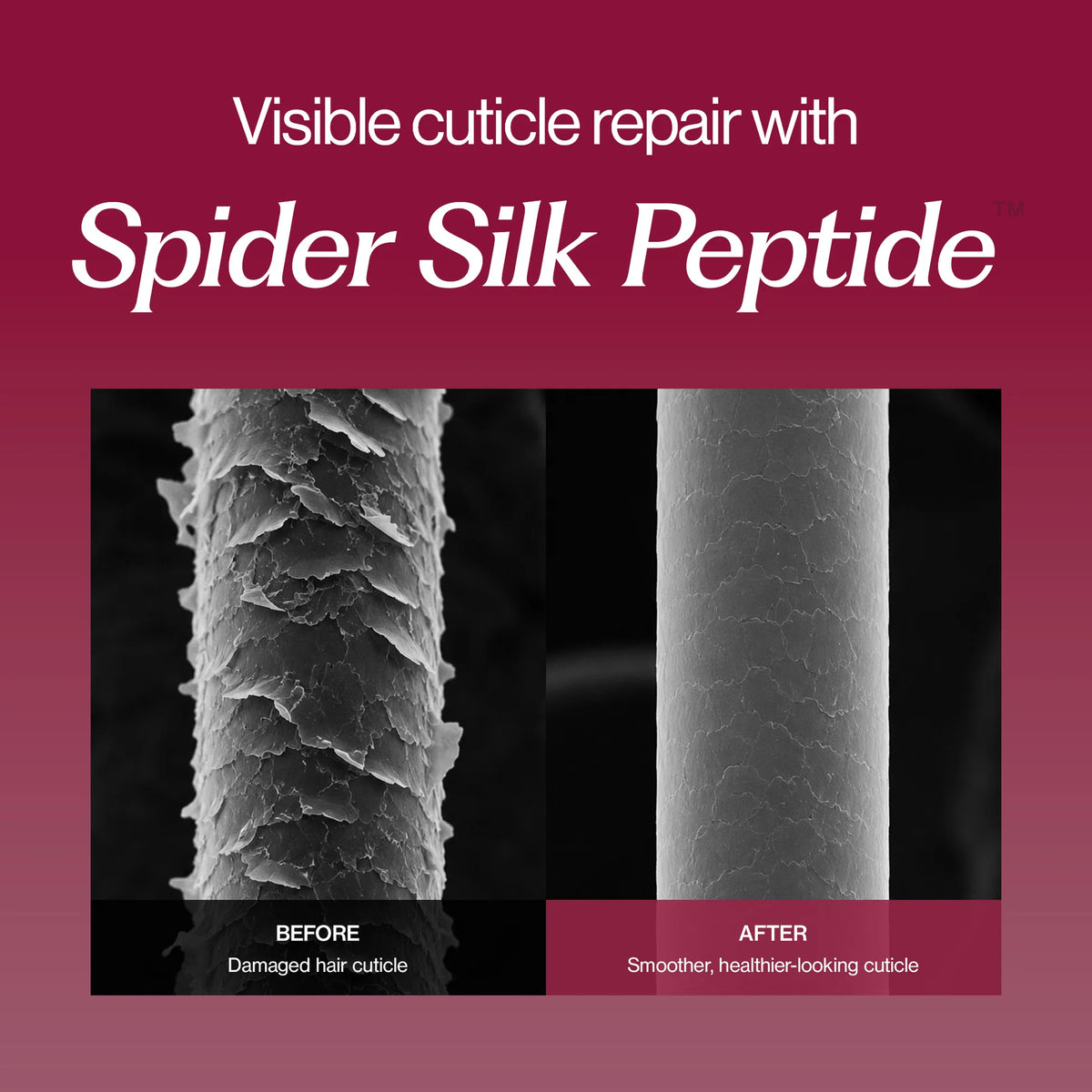 Slik Protein Peptide Shampoo