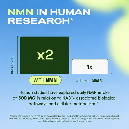 Pure NMN Powder 1000mg — Daily NAD+ Support