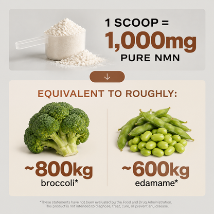 Pure NMN Powder 1000mg — Daily NAD+ Support
